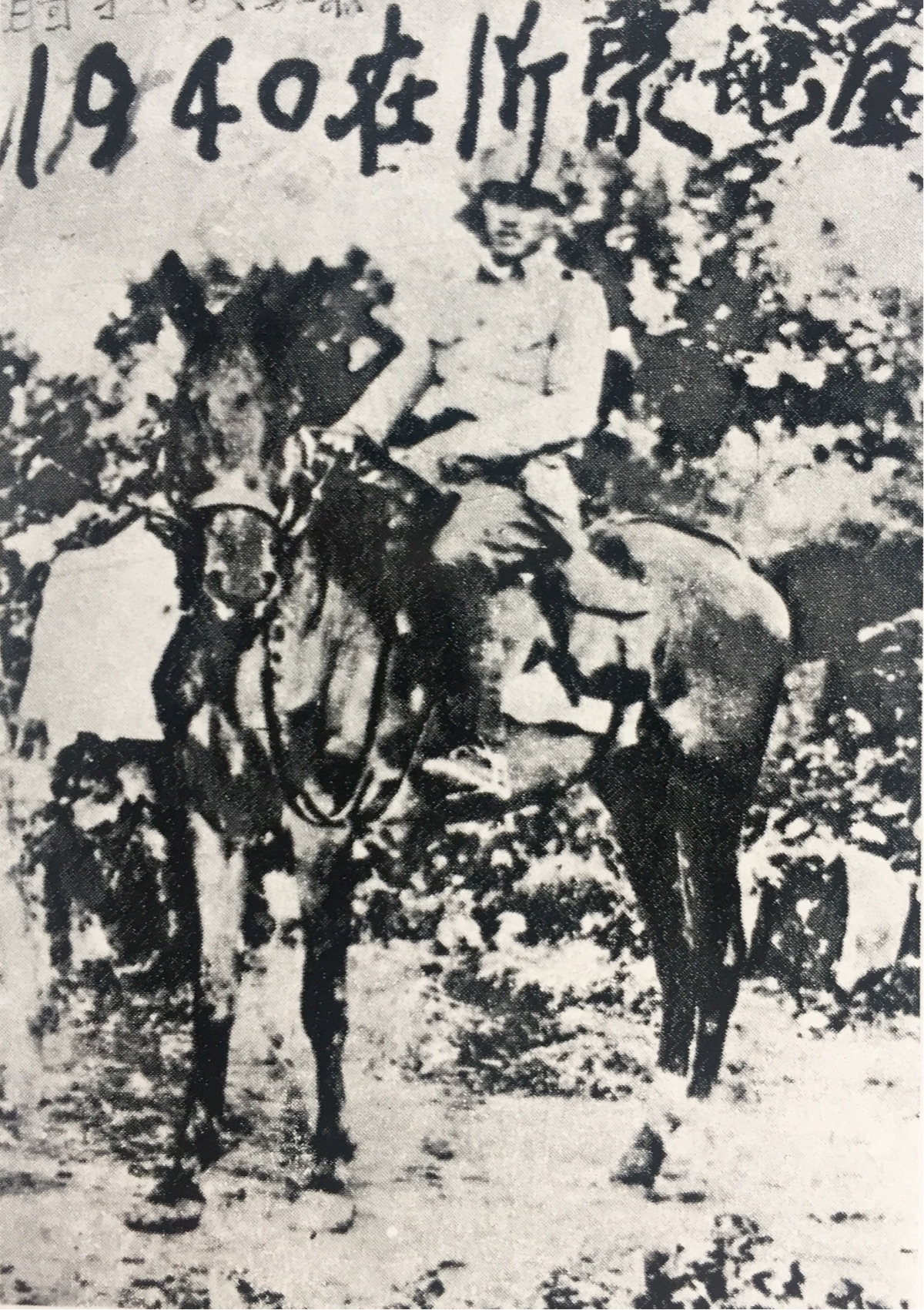 1940年5月山东纵队第四支队政委胡奇才骑着在反扫荡战斗中缴获的日本战马留影.jpg